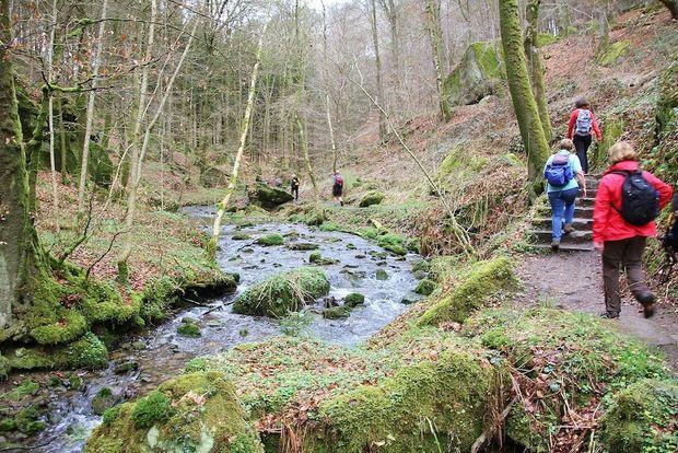 Wandelen langs de Leading Quality Trails Best of Europe: Mullerthal Trail & Escapardenne-Eisléck Trail