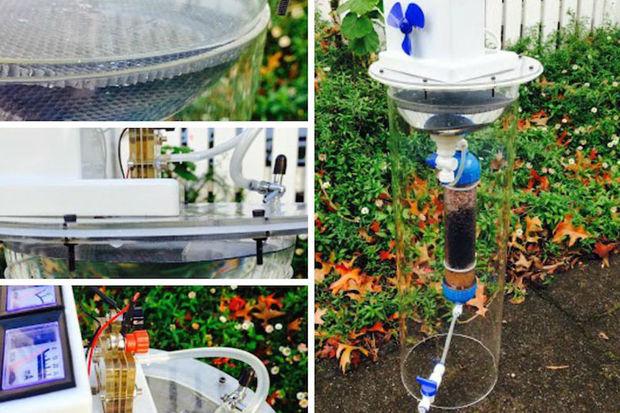 Une ado invente un purificateur d'eau à l'énergie solaire