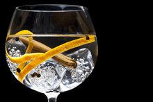 Belg blijft dol op gin-tonic, 'maar experimenteert minder'