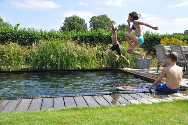 Een zwemvijver met houten boord en groene oever in Herent.