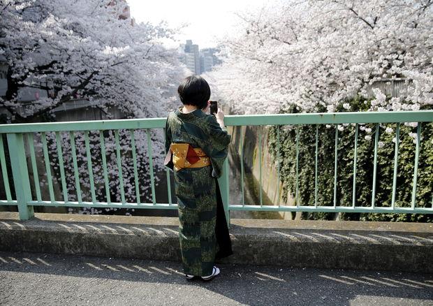 Red de kimono: kan het Westen een oosterse traditie reanimeren?