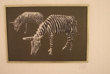 Het origineel kunstwerk 'Zebra' van Khaled Hourani. Het is een verwijzing naar de zoo van Gaza, dat bij gebrek aan een echte zebra dan maar een ezel een likje verf gaf.