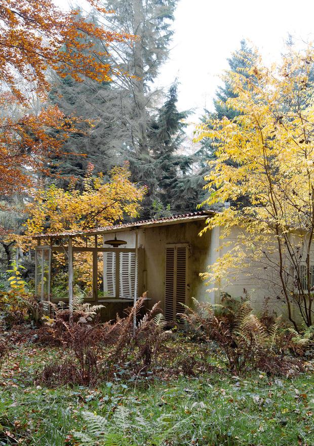 Een Perzische slaapboom vangt het licht in de zomer, en in de herfst kleuren de bomen rond het zomerhuisje geel en de lorken roze. 