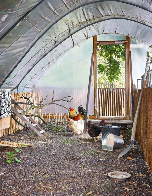 Er wordt aan hooi- en strobalenteelt gedaan en er is een ingenieus wateropvangsysteem. Er zitten kippen en er staan fruitbomen op het dak.  De koffieresten van de koffiebranderij beneden dienen als compost. (Boeren op niveau)