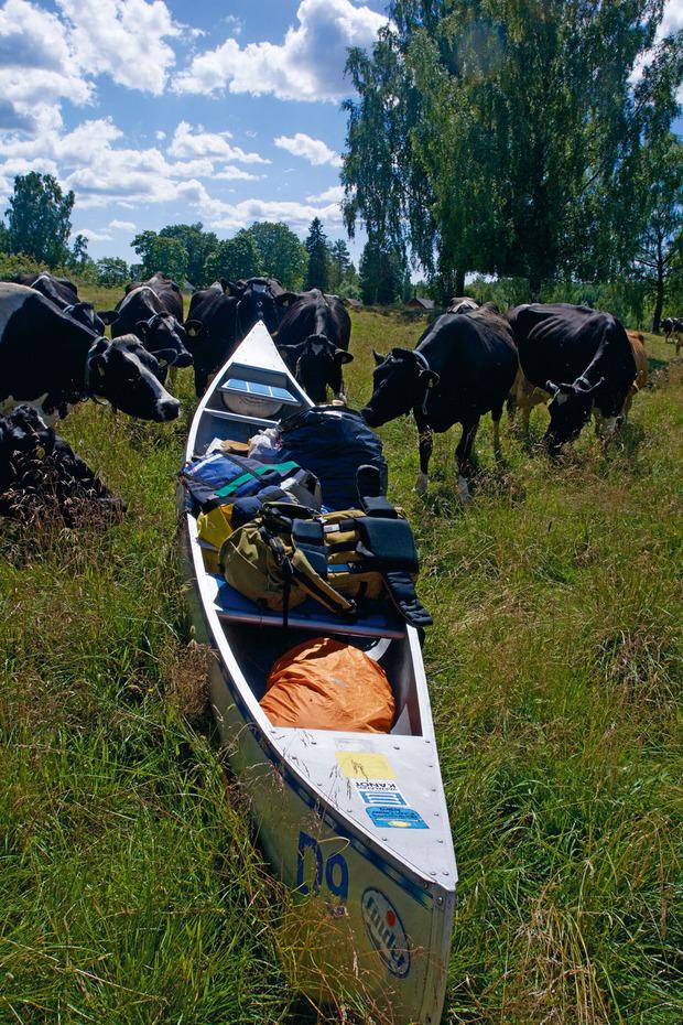 Het ongerepte Zweden: eilandhöppen per kano