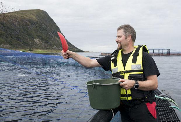 Zalmkwekerij Marine Harvest in Alesund, Noorwegen: De zalmen krijgen voor de foto eten met de hand, maar eigenlijk gebeurt dit via een buissysteem en een werknemer die knoppen bedient.