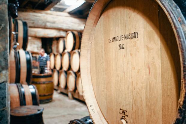 Gouden grond: het wijngeheim van Chambolle-Musigny in Bourgondië