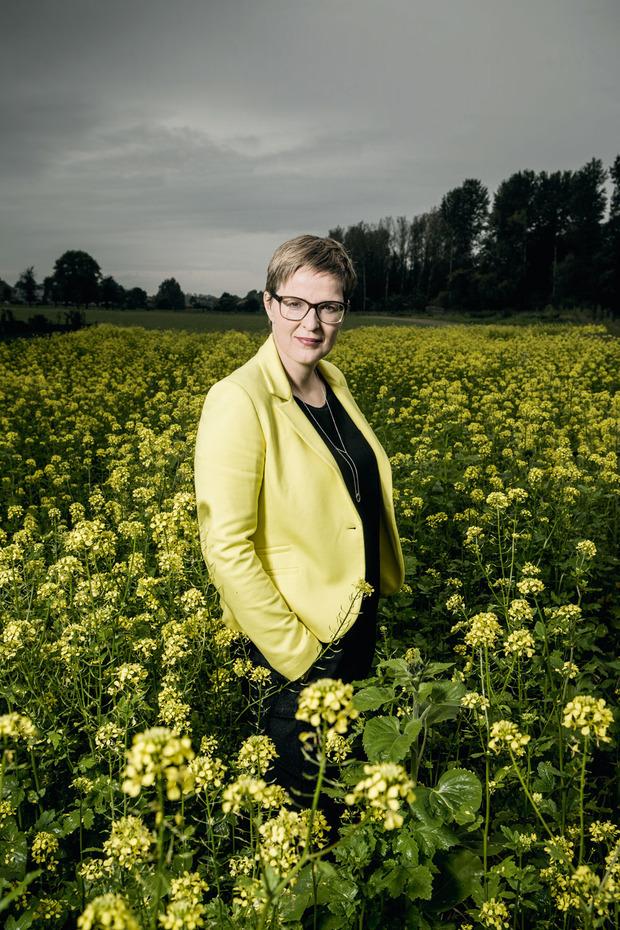 Professor Elke Van Hoof.