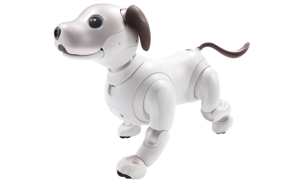 Top dog Sony bracht in 1999 een eerste robothond op de markt, en vanaf januari vind je in Japan de nieuwste versie van deze Aibo. De viervoeter kwispelt, speelt en reageert op complimentjes en strelingen. Dankzij een camera herkent hij zelfs zijn baasje en omdat hij verbonden is met de cloud, kan hij bijleren van andere Aibo's. Komt in Japan op de markt in januari, 1500 euro.