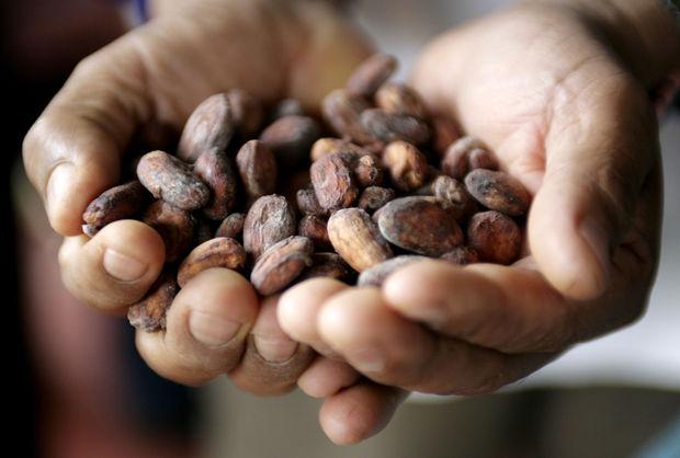 Chocolade voor fijnproevers: een handleiding