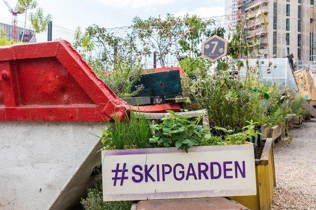 Skip Garden