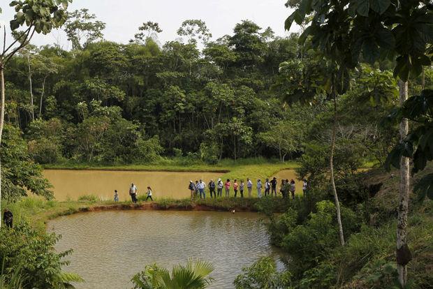 Boeren in Amazonegebied schakelen steeds vaker over op visteelt
