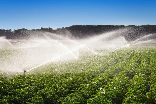 Irrigatie op een aardappelveld in Spanje