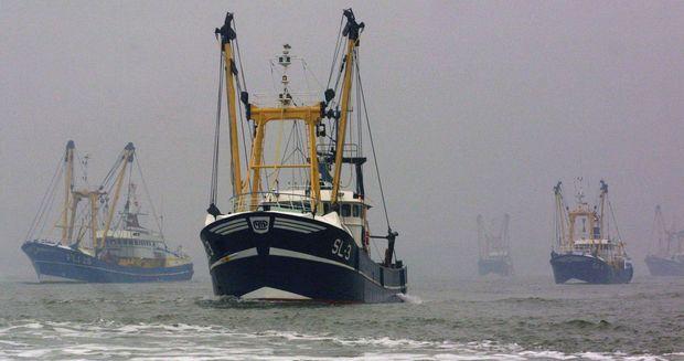 Nederlandse vissersboten varen uit.