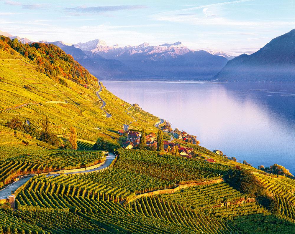 Wijngaardterrassen in subregio Lavaux, door Unesco uitgeroepen tot Werelderfgoed.