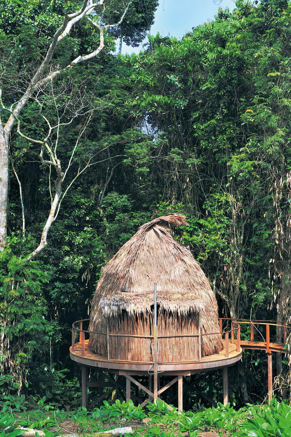 Heerlijk rustig: een hutje in het Odzala Discovery Camp in Congo-Brazzaville.