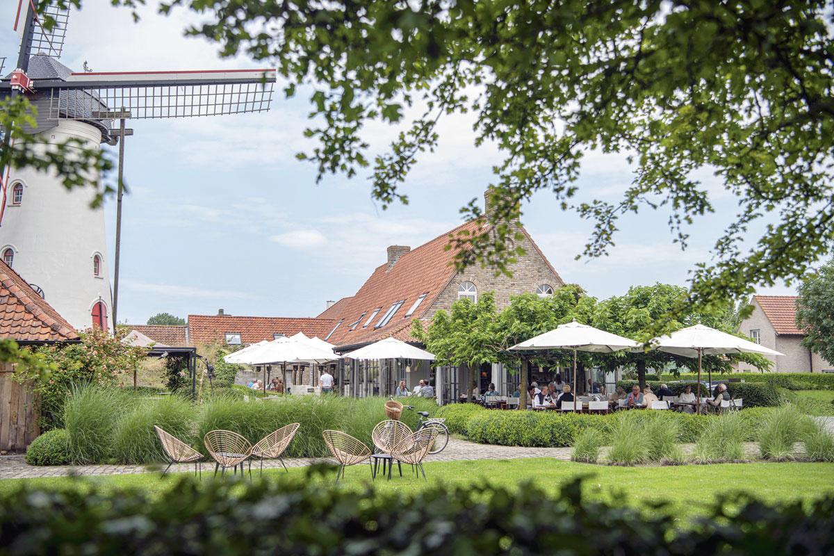 Een zee van keuze: tips om goed te tafelen in Knokke-Heist en omgeving