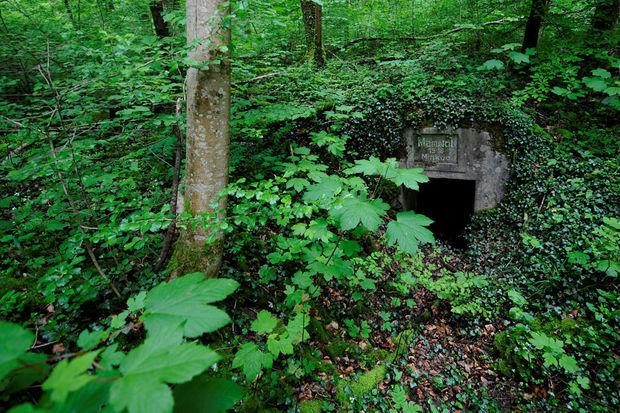 Abri militaire allemand construit dans la forêt de Verdun, près du fort de Vaux 