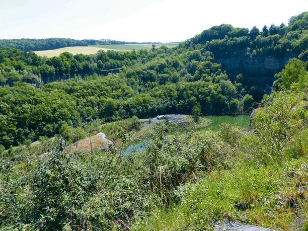 Entre Namur et Andenne, une ancienne carrière avec son lac artificiel : le cadre idéal pour l'implantation du parc animalier.