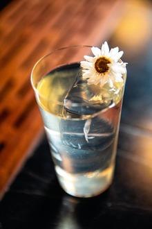 Vijf cocktails tegen de dorst: low on alcohol, rijk aan smaak