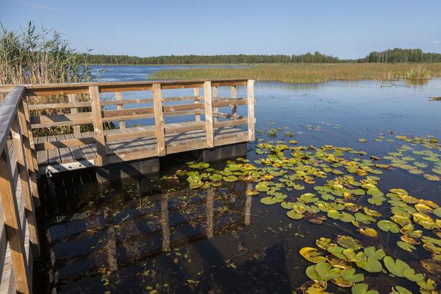 Poleski National Park 