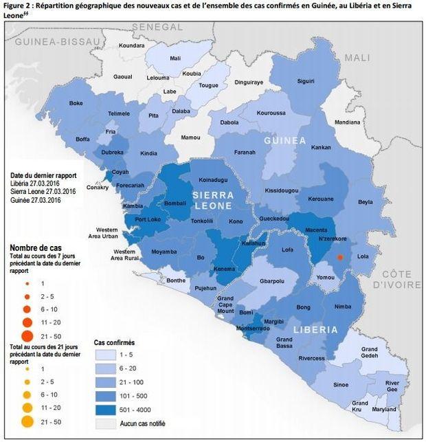 Réapparition du virus Ebola en Guinée