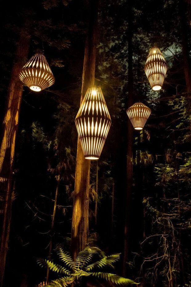 Nachtelijke wandeling tussen de Redwoods in Nieuw-Zeeland