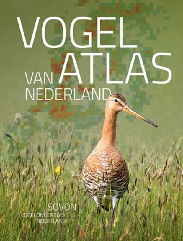 Nieuwe Vogelatlas Nederland: 'vogelstand spectaculair veranderd'