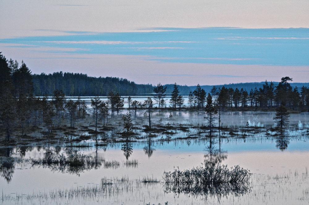 Het Saimaameer in Fins Karelië bestaat uit honderden verschillende meertjes.