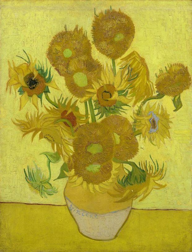 Beroemde Zonnebloemen van Vincent Van Gogh krijgt opknapbeurt
