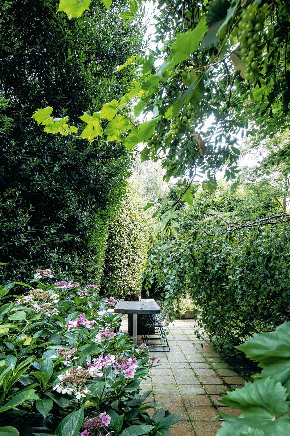 De tuin van 320 m² is ongewoon groot voor de relatief smalle rijwoning. © Thomas De Bruyne