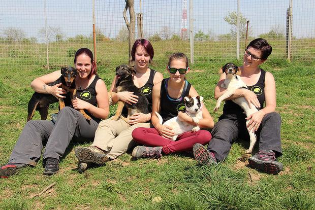 Tonia Maesfranckx en haar team met enkele honden uit het asiel. 