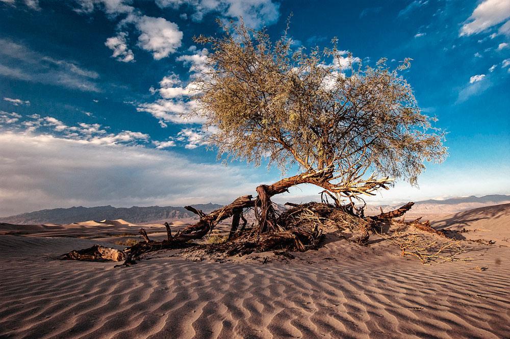 Verhalen uit Death Valley: de heetste plek op aarde