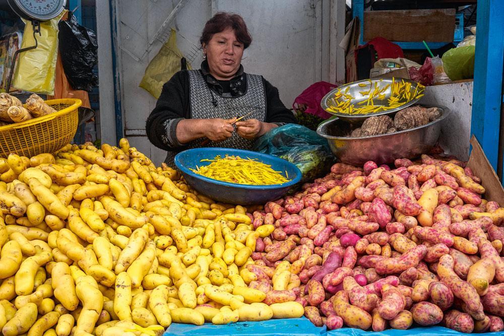 De markt van Surquillo: aardappelen en olluco in overvloed.