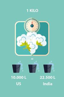 Voor het telen en produceren van 1 kilo katoen is tussen 10.000 liter (Amerikaanse teelt) en 22.500 liter (productie in India) water nodig. Dit is water dat niet opnieuw gebruikt kan worden omdat het ofwel verdampt is ofwel te vervuild werd door het productieproces. 