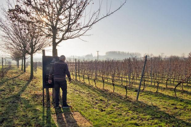 Eric: 'Heel wat Belgische collega-wijnboeren staan weigerachtig tegenover onze manier van werken, maar bij ons mag de natuur gewoon zijn werk doen.'