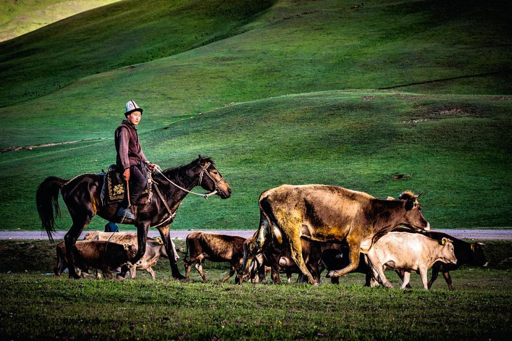 De nomade leeft met en voor zijn kudde.