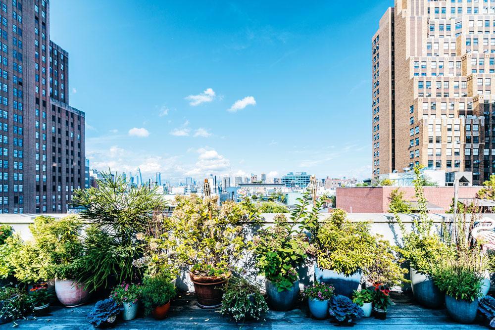 Stylist Nicola Formichetti laat u binnenkijken in zijn serrewoning op het dak van een New Yorks pakhuis
