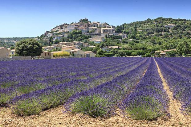 Vijf insidertips voor de Provence