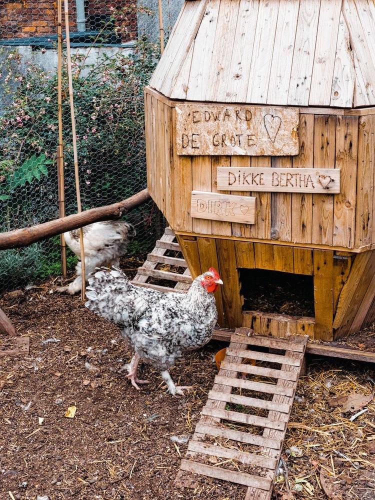 Op een lager gelegen dak bevindt zich een moestuin waar groenten worden geteeld en kippen worden gehouden.