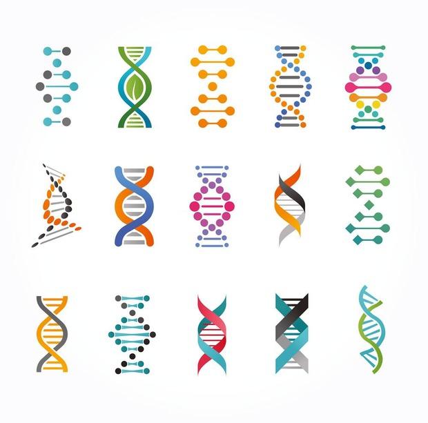 Goeie genen: werken crèmes en diëten op basis van je DNA?