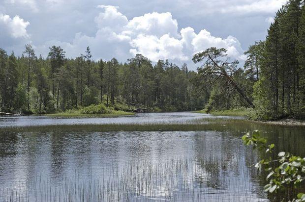 Finland heeft er een nieuw nationaal park bij