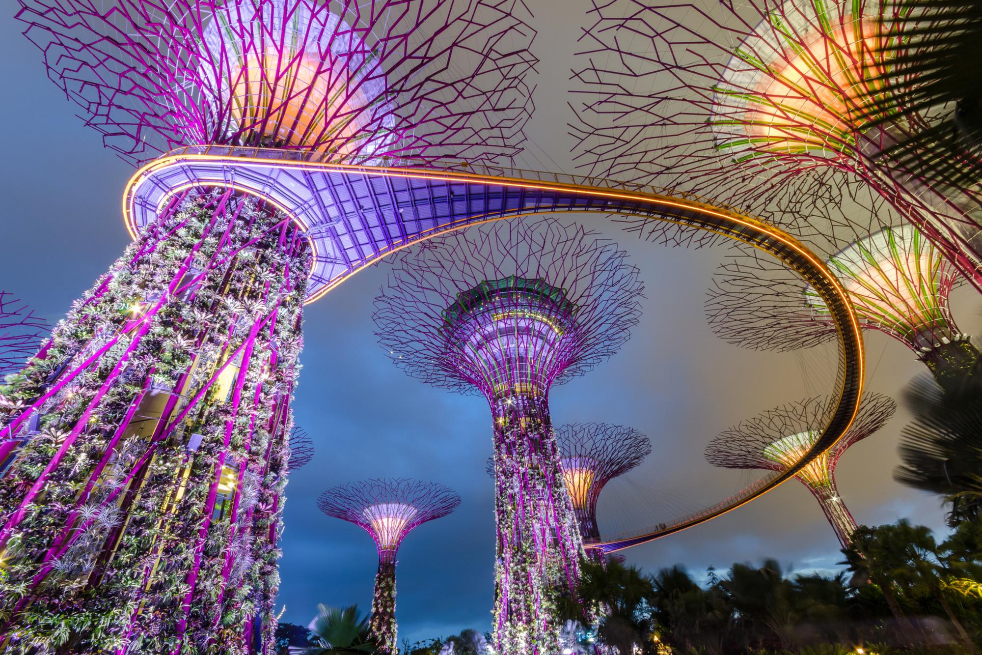 Futuristische bomen in het moderne Singapore