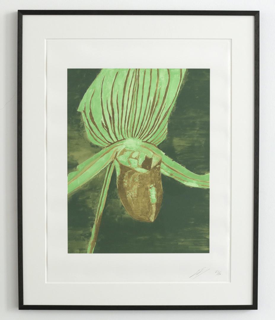 Luc Tuymans - Orchid, 2013