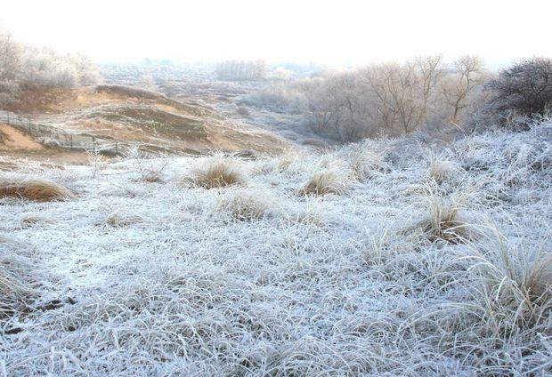 Winter in Koksijde: uitwaaien met wandelingen en cultuur