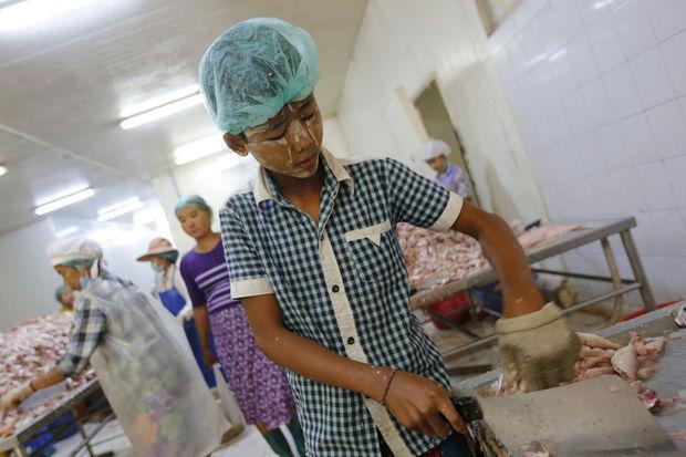 Jongen werkt in visfabriek in Myanmar
