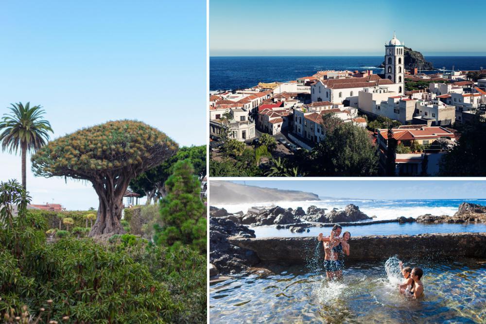 Links: de Drakenbloedboom - Rechtsboven: Garachico, een van de mooiste pittoreske plaatsen op Tenerife - Rechtsonder: de natuurlijke zwembaden bij Garachico