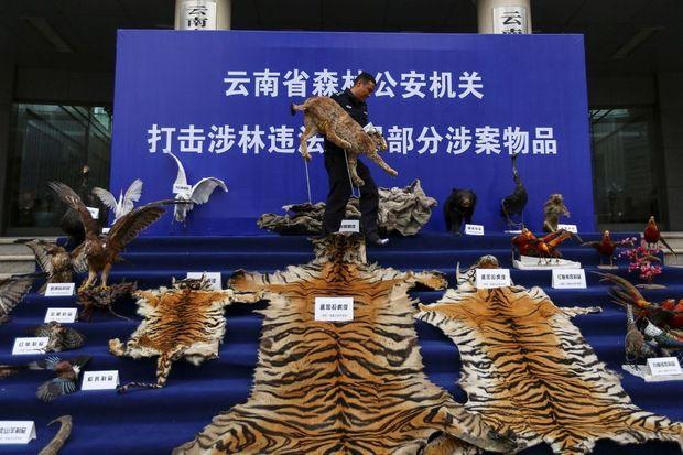 Chinese groei zet enorme druk op Aziatische diersoorten