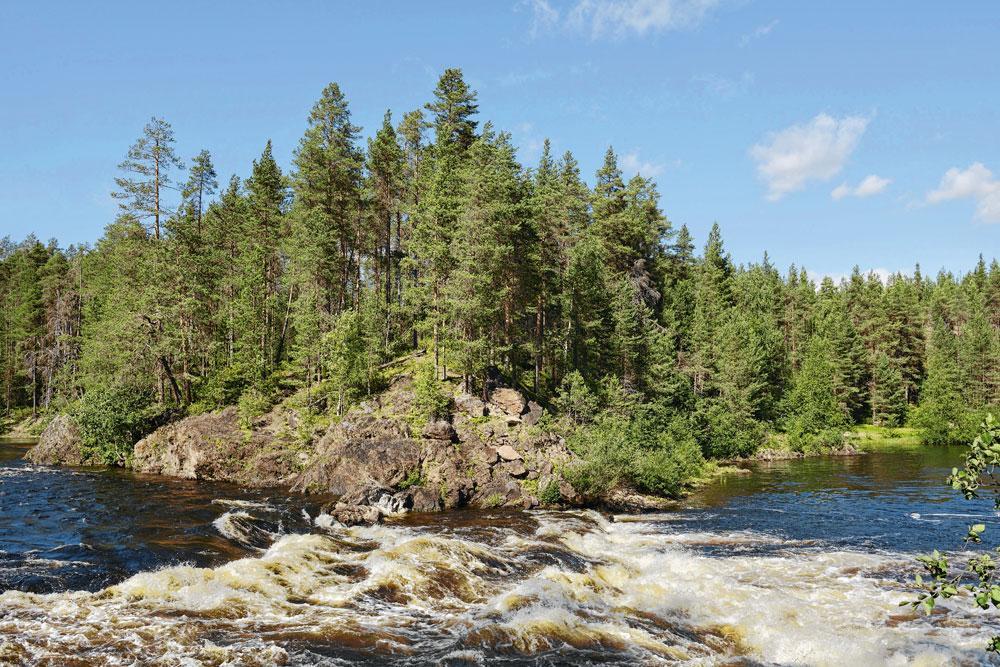Finland: Oulanka, tegen de Fins-Russische grens.