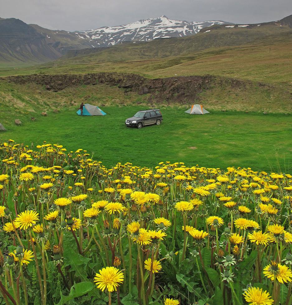 Van IJsland tot de Highlands: waar kan je nog wildkamperen in Europa?